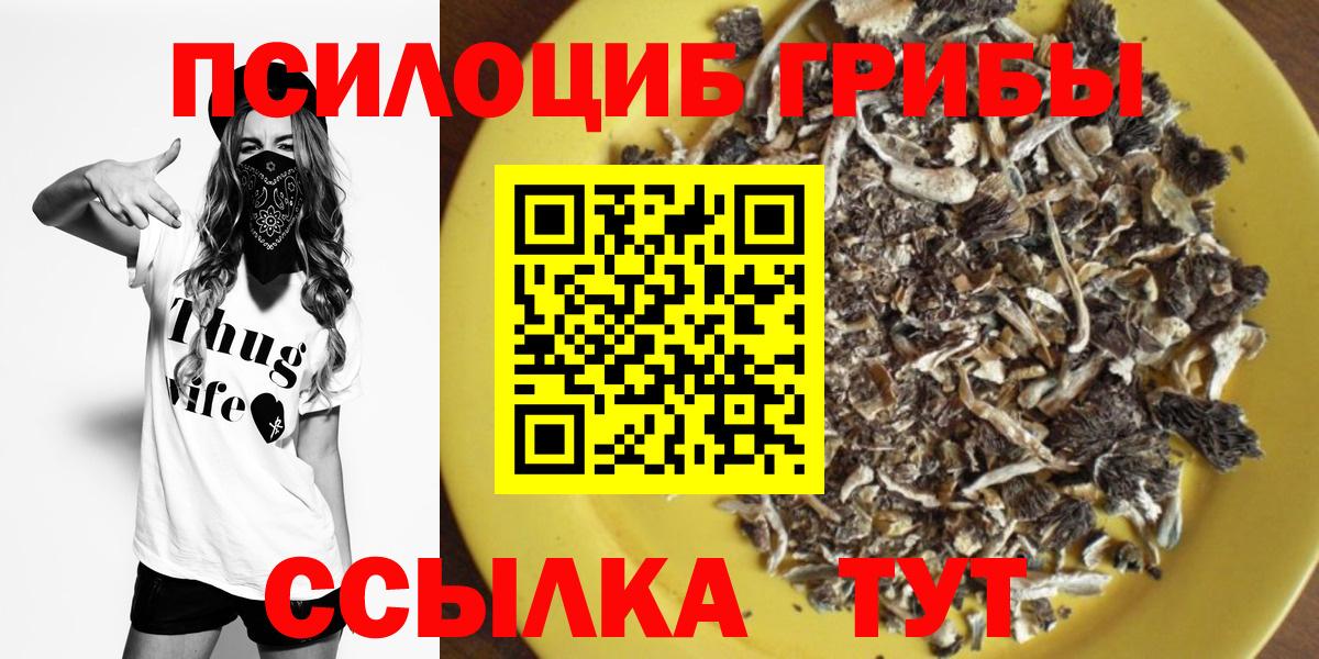 Псилоцибиновые грибы Magic Shrooms  Вход с VPN  Казань 