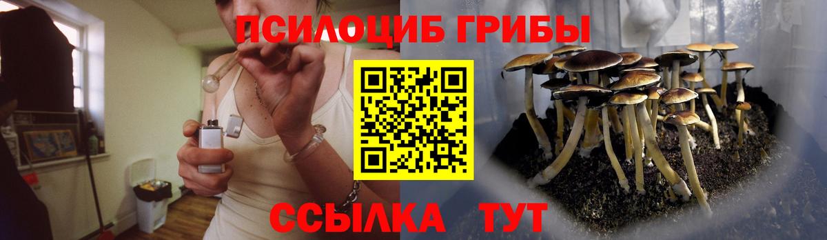 Галлюциногенные грибы Cubensis Казань